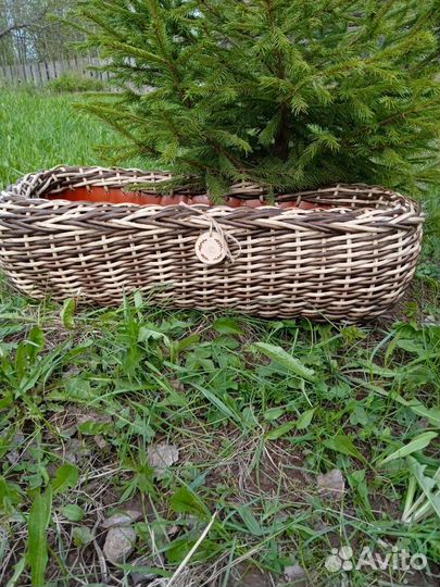 Кашпо для цветов