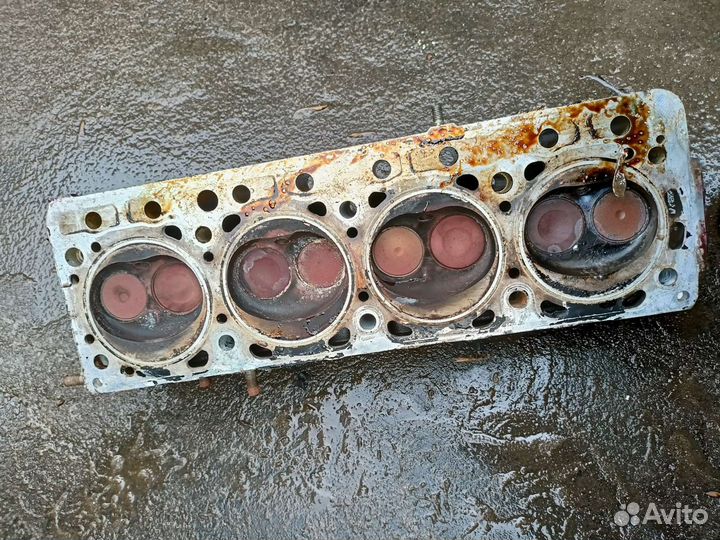 Гбц на эвотек