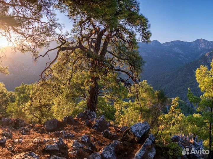 Тур — 8 Дней — Ликийская Тропа — Семейный Треккинг