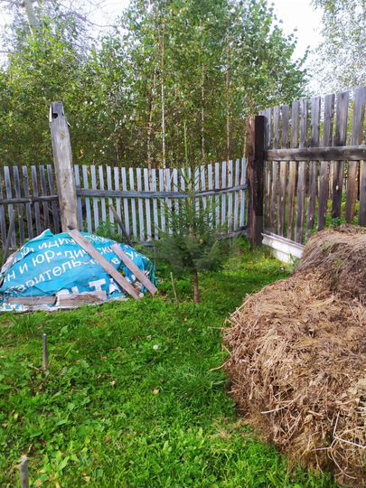 Дача 40 м² на участке 8 сот.