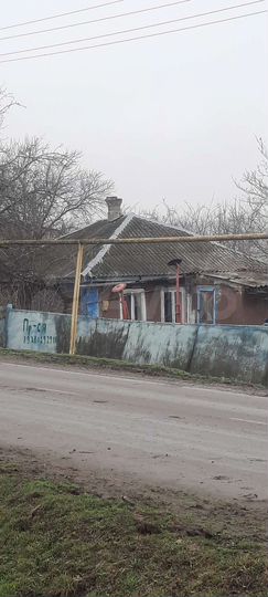 Дом 55 м² на участке 20 сот.