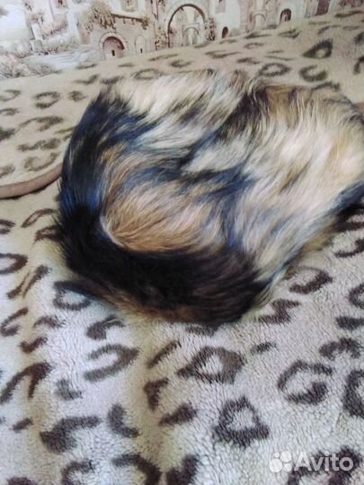 Шапка зимняя.Обманка Собака