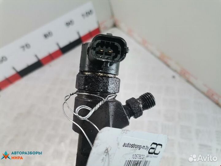 Форсунка Opel Insignia (A) 2010 55566050