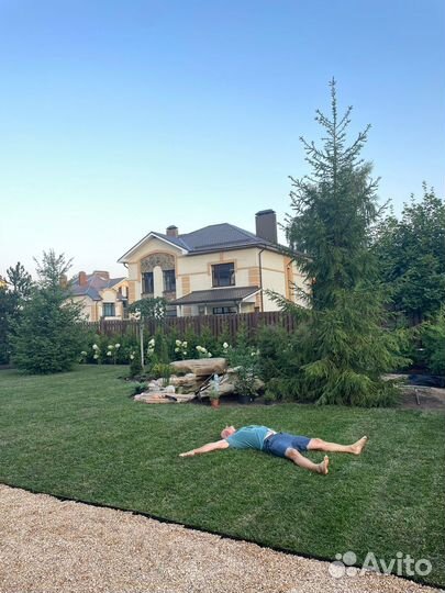 Газон рулонный «Элитный» с доставкой и укладкой