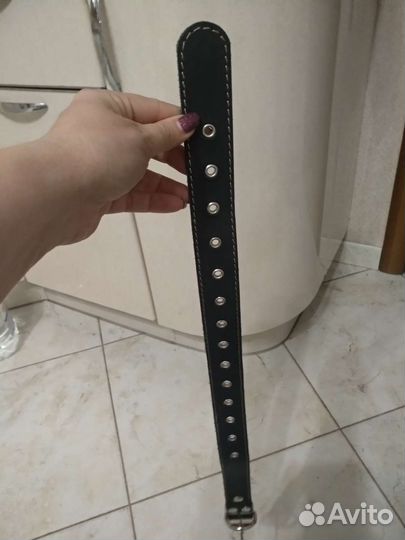 Ошейник новый, шлейка новая