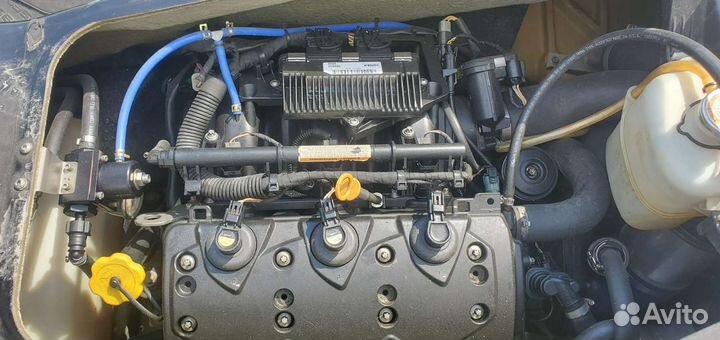 Brp rxp x 260