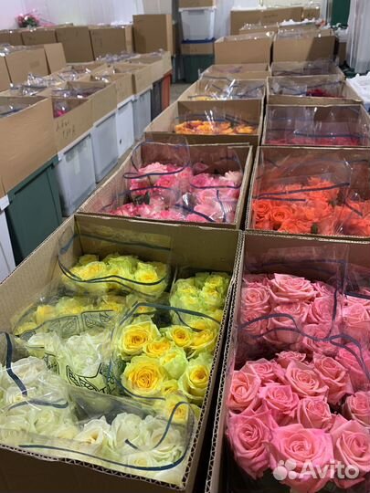 Оптовый склад срезанных цветов