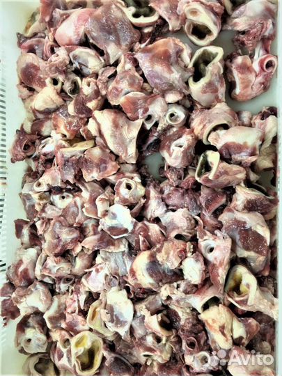 Мясная обрезь говяжья для собак