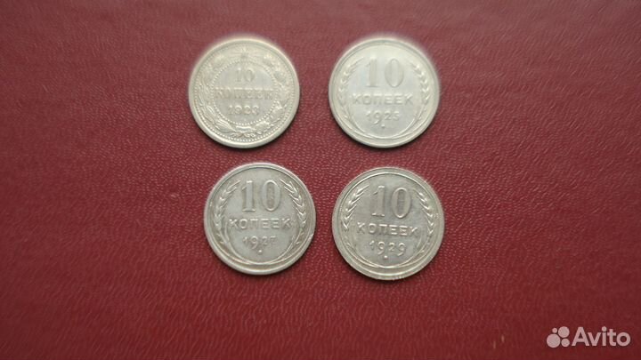 Суккуленты