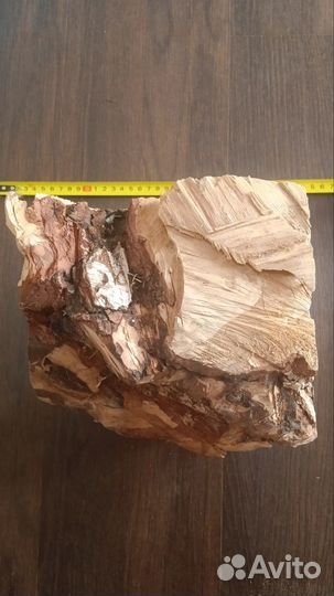 Сувель березовый