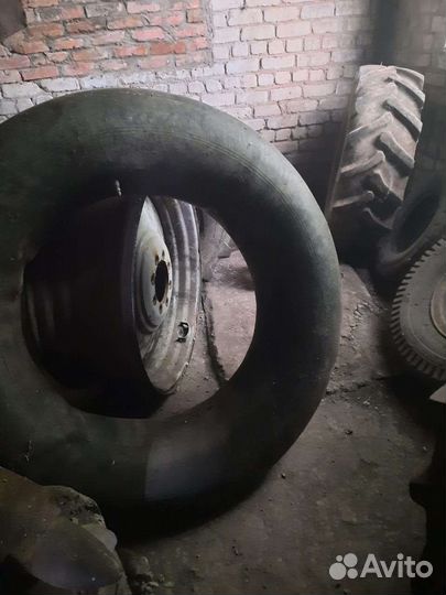 Шины мтз 1221