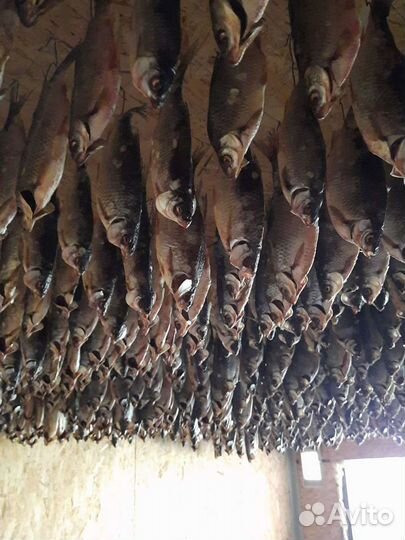 Таран вяленная