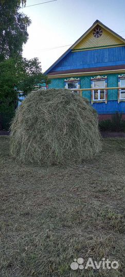 Корм для скота (сено)