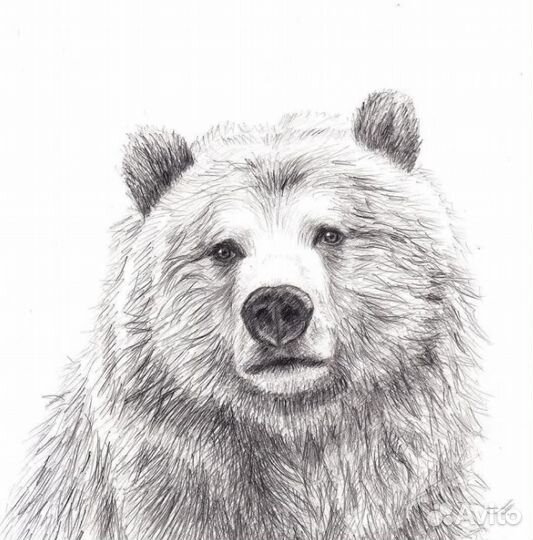 Карандаш нв с ластиком