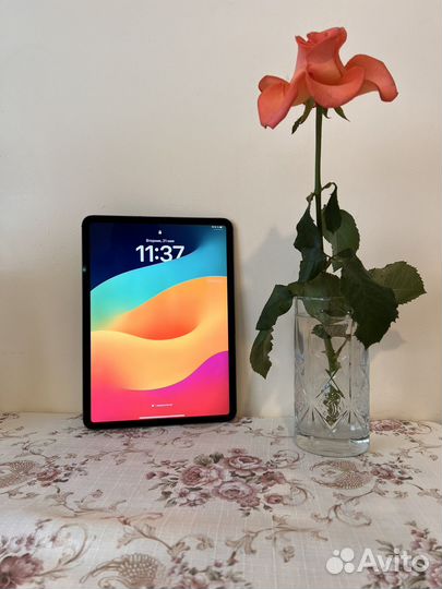 iPad pro 11 2020 256gb