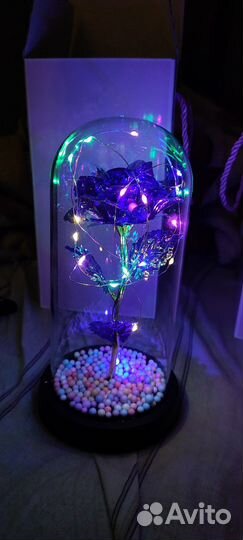 Роза в колбе