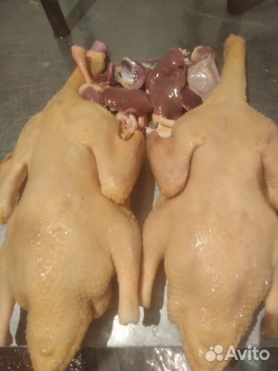 Мясо утки гуси