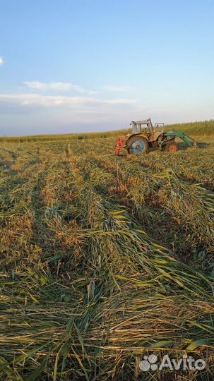 Раализуем сено