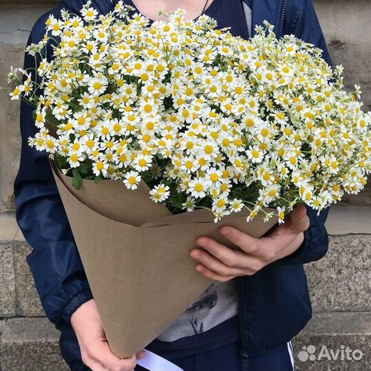 Букеты из ромашек Доставка цветов Пионы