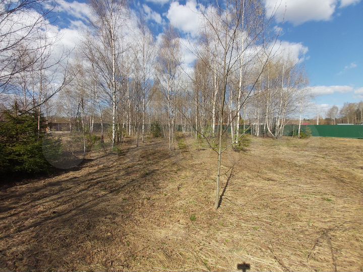 Участок 16,6 сот. (ИЖС)