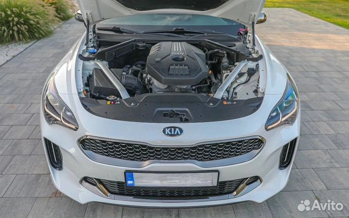 Kia Stinger 2.0 AT, 2019, 64 000 км