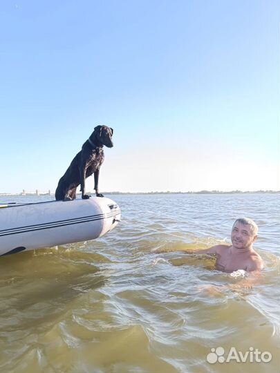 Лодка пвх с мотором