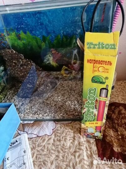 Аквариум панорамный