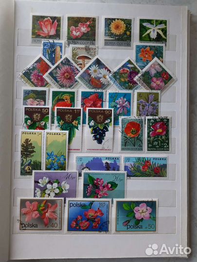 Альбом с марками