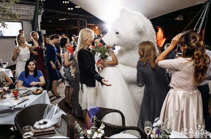 Белый мишка аниматор