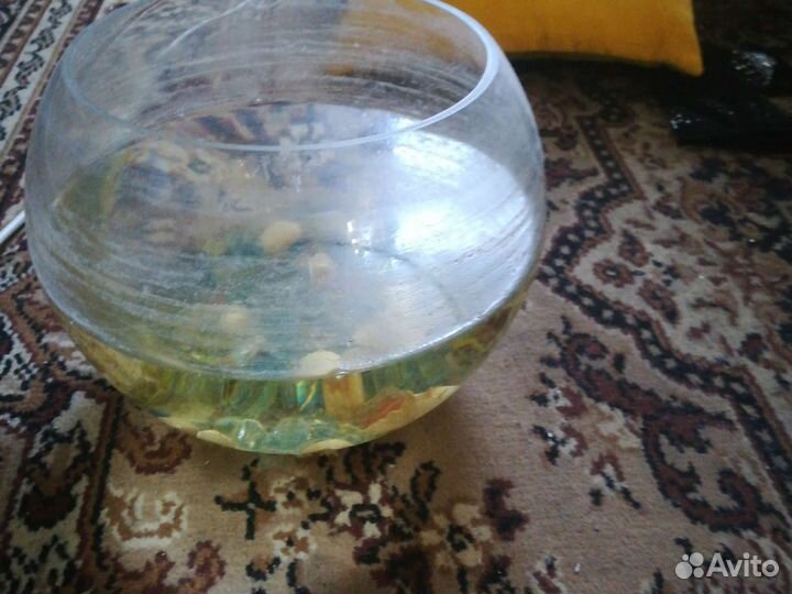 Аквариум круглый 8л