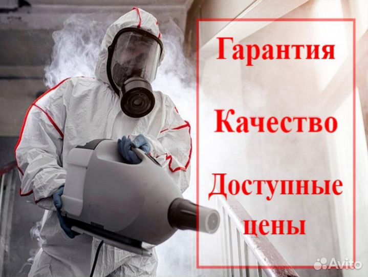 Уничтожение клопов травить тараканов обработка