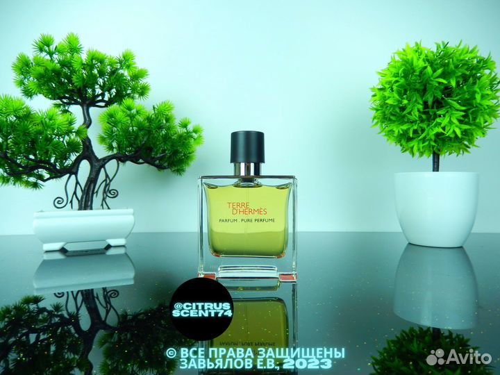 Hermes - Terre d' Hermes Отливант