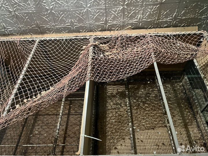 Клетка(брудер) для цыплят