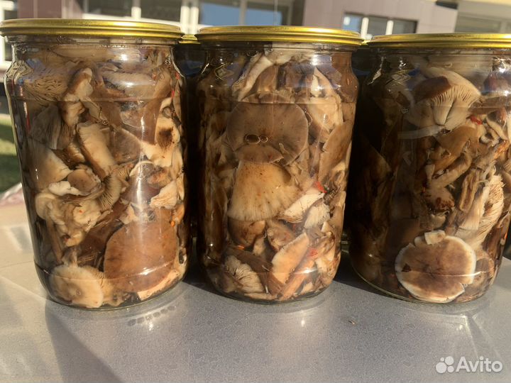 Грибы маринованные