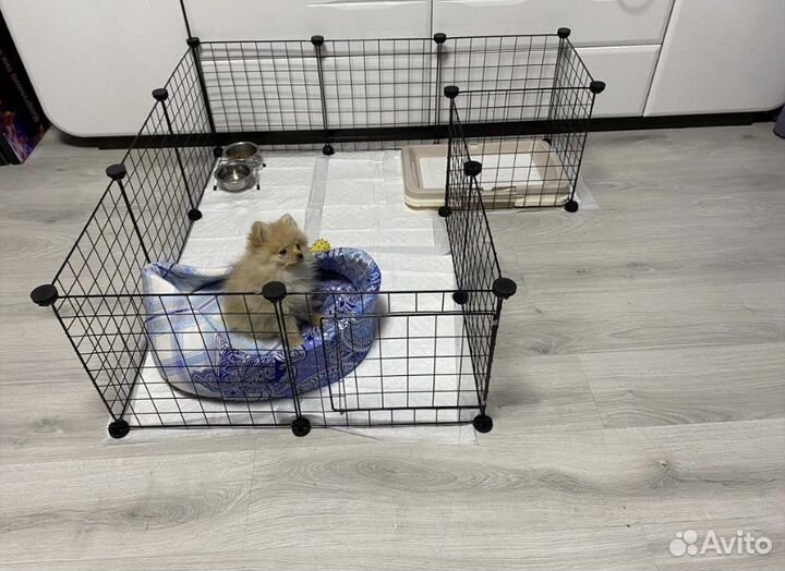 Вольер клетка