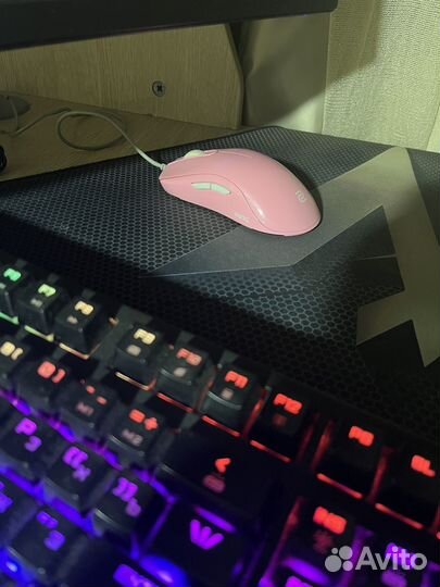 Игровая мышь zowie ec2