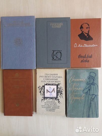 Домашняя библиотека. Поэзия