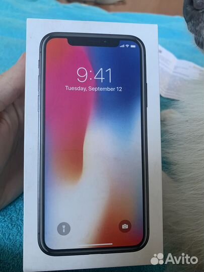 iPhone X, 256 ГБ