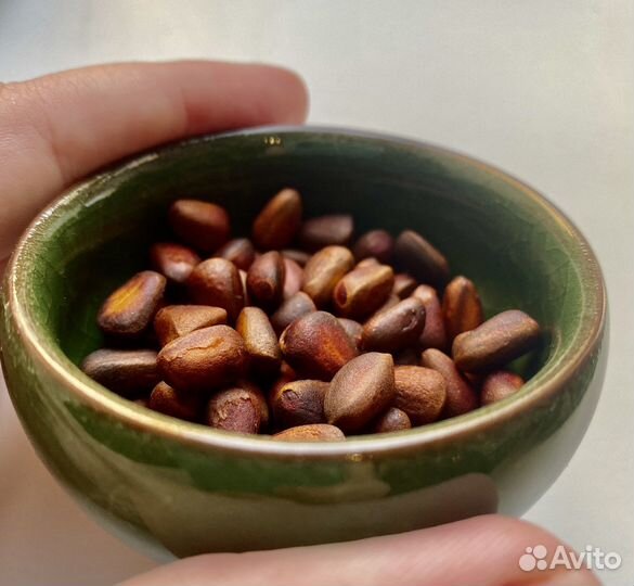 Кедровый орех