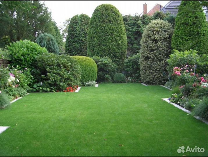 Рулонный газон доставка укладка