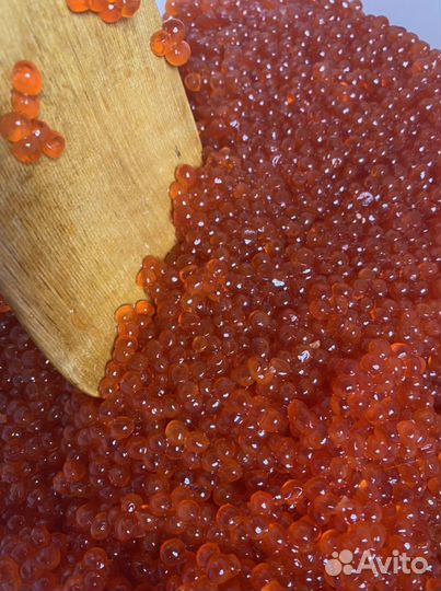 Икра Красная 2023