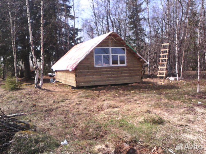 Охота на побережье белого моря