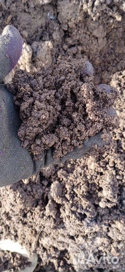 Земля плодородная