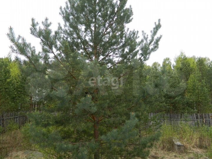 Участок 20 сот. (ИЖС)