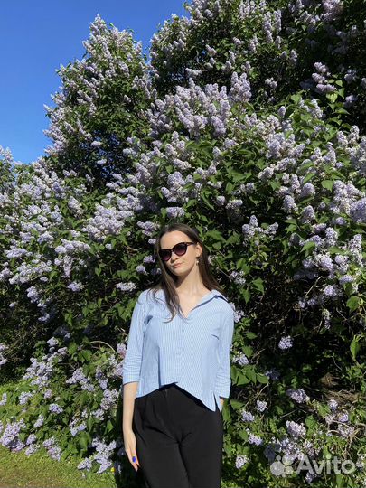 Личный помощник ассистент