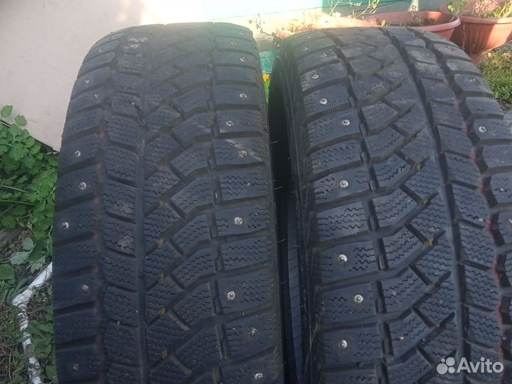 Viatti Brina Nordico V-522 195/65 R15