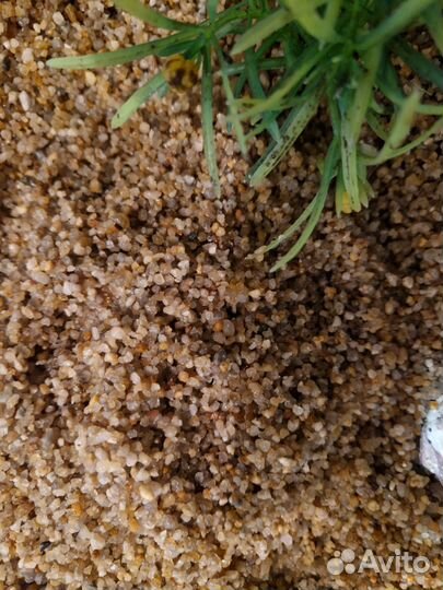 Декорации для аквариума + грунт ок.6 кг новый