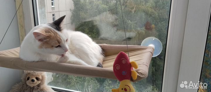 Гамак для кошек на окно