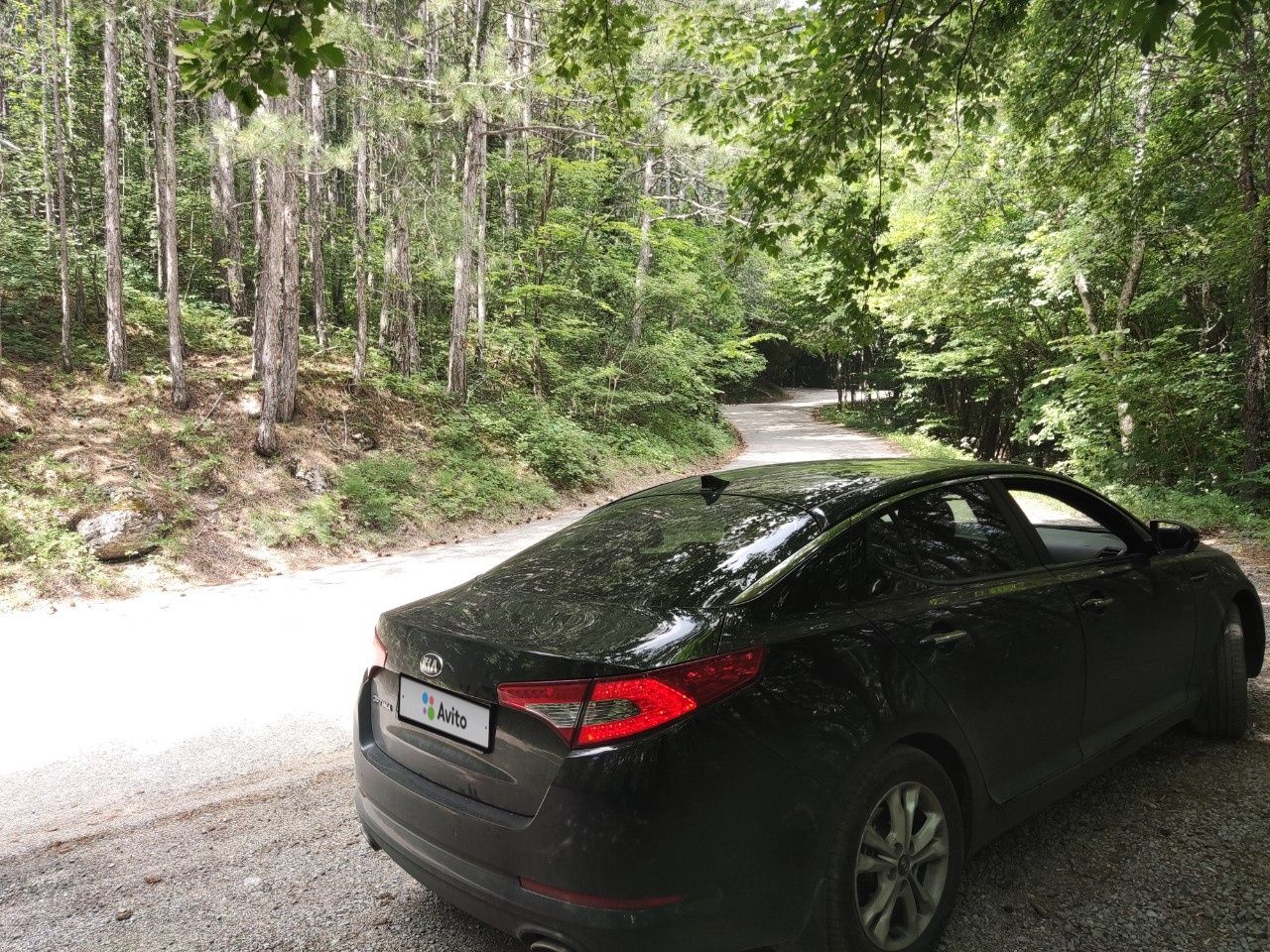 Kia Optima: фото владельца
