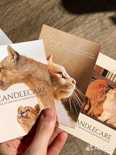 Полиграфия